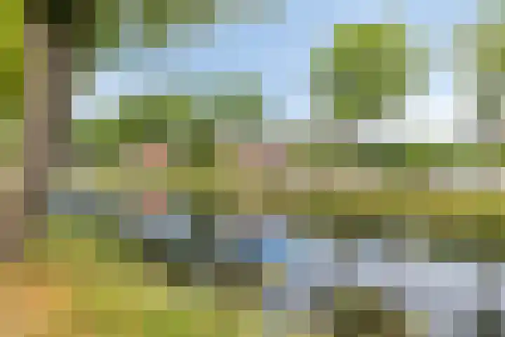 Postkade 58 Stadskanaal thumbnail 28