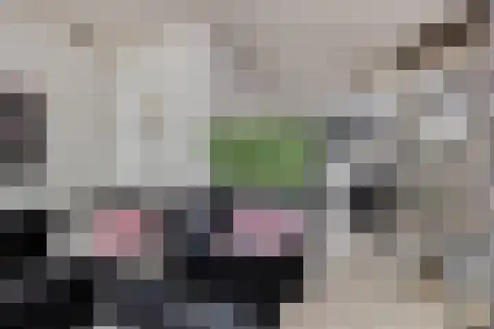 Postkade 58 Stadskanaal thumbnail 5