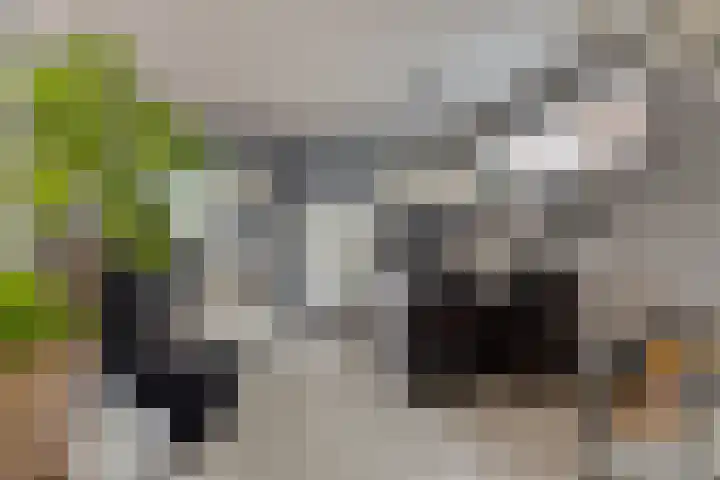 Postkade 58 Stadskanaal thumbnail 7