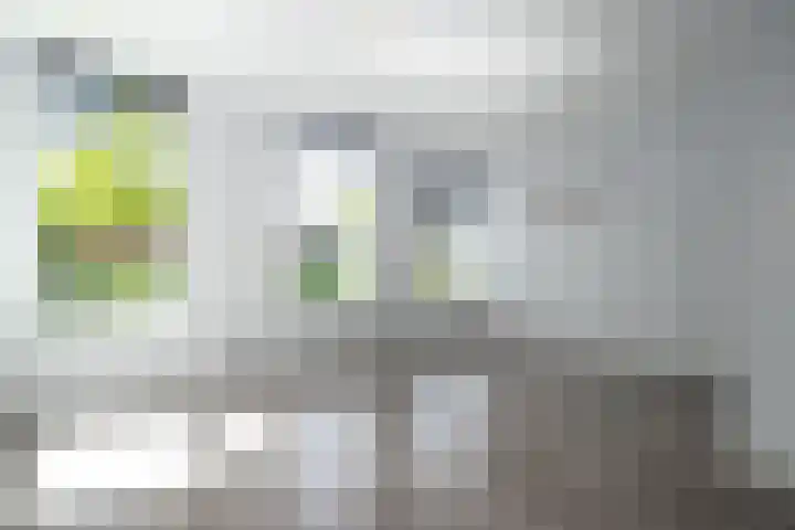 Postkade 63 Wildervank thumbnail 11