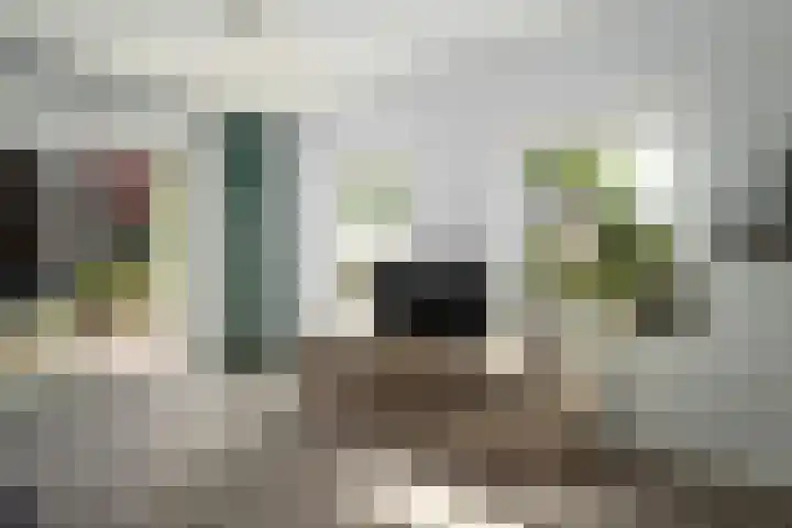 Postkade 63 Wildervank thumbnail 24