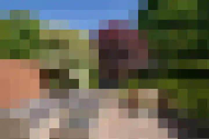 Postkade 63 Wildervank thumbnail 36