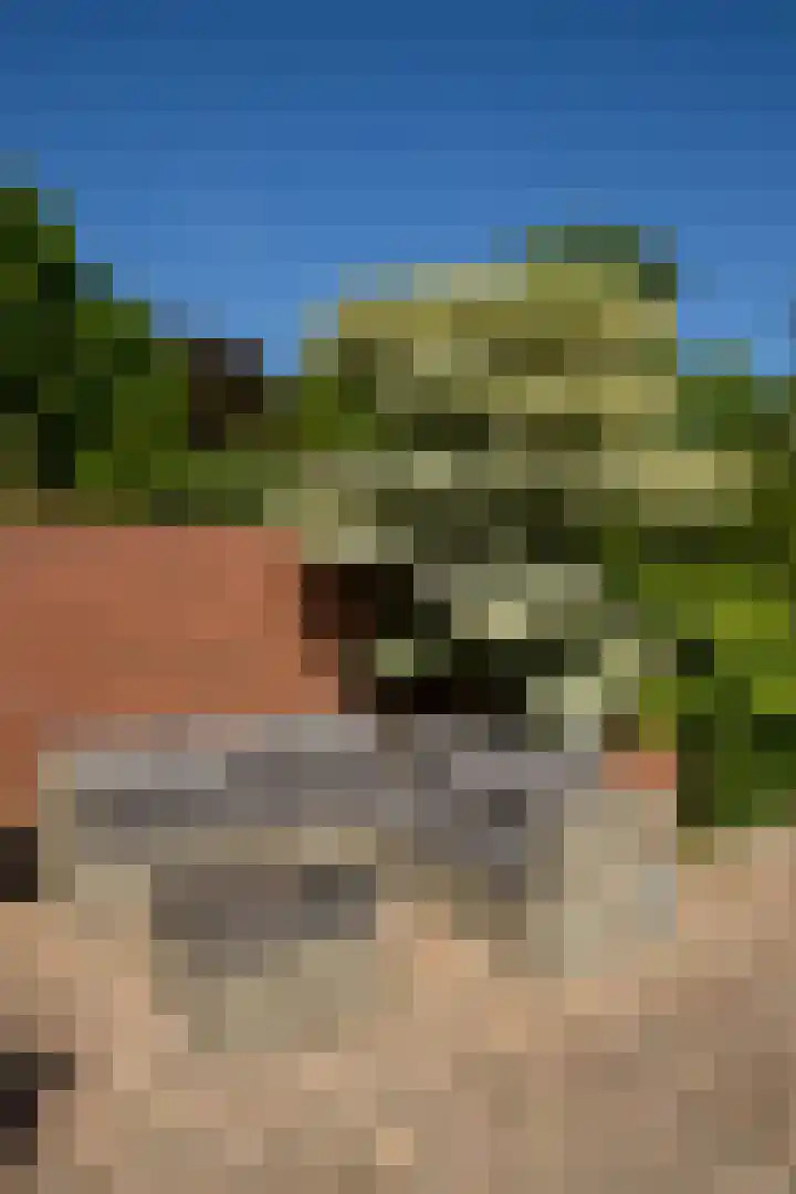 Postkade 63 Wildervank thumbnail 37