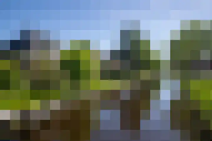 Postkade 63 Wildervank thumbnail 4