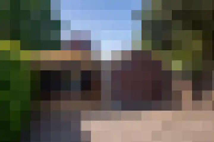 Postkade 63 Wildervank thumbnail 41
