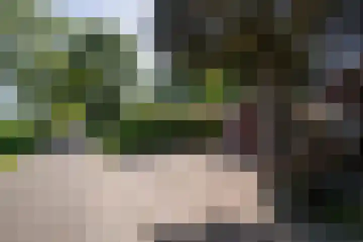 Postkade 63 Wildervank thumbnail 42
