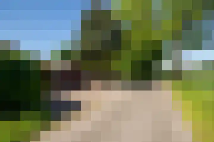 Postkade 63 Wildervank thumbnail 43