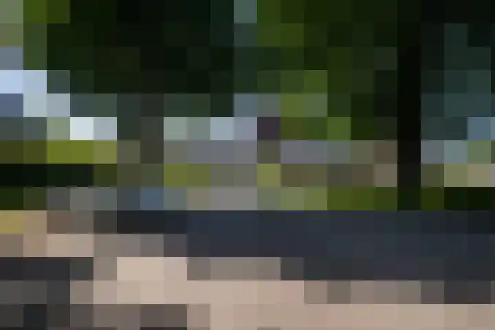Postkade 63 Wildervank thumbnail 45