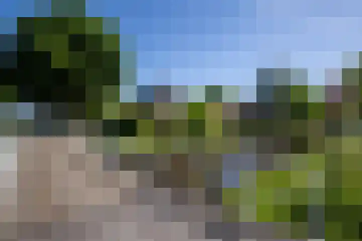 Postkade 63 Wildervank thumbnail 46