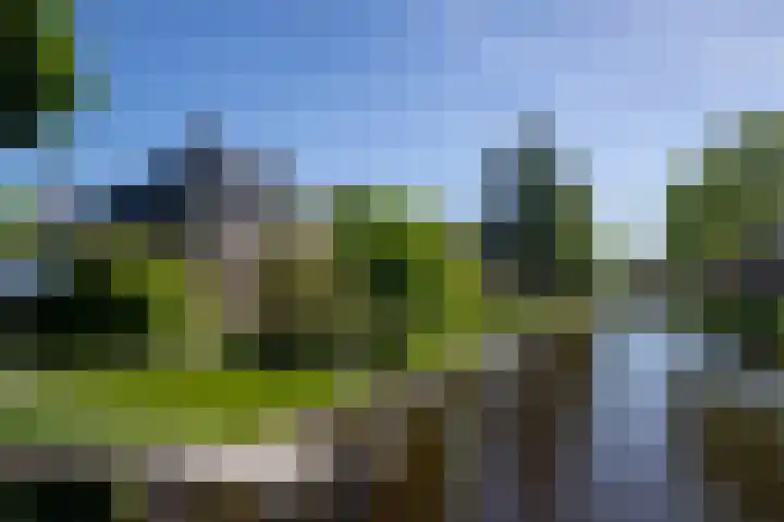 Postkade 63 Wildervank thumbnail 47
