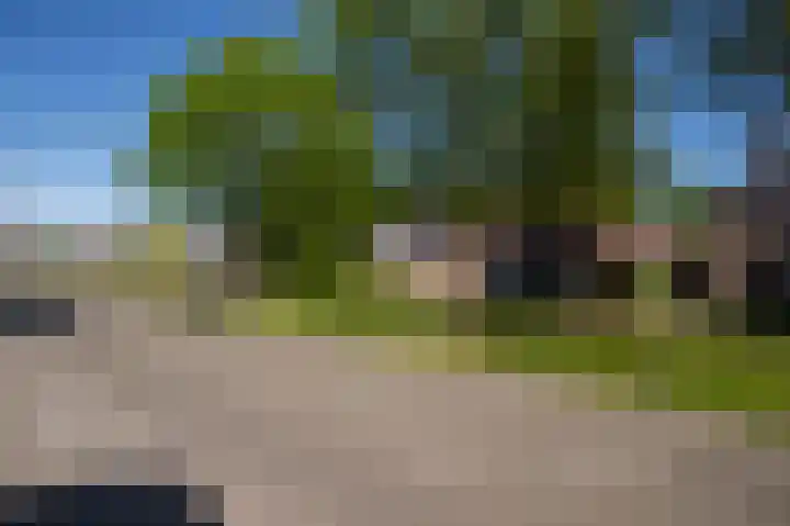 Postkade 63 Wildervank thumbnail 48