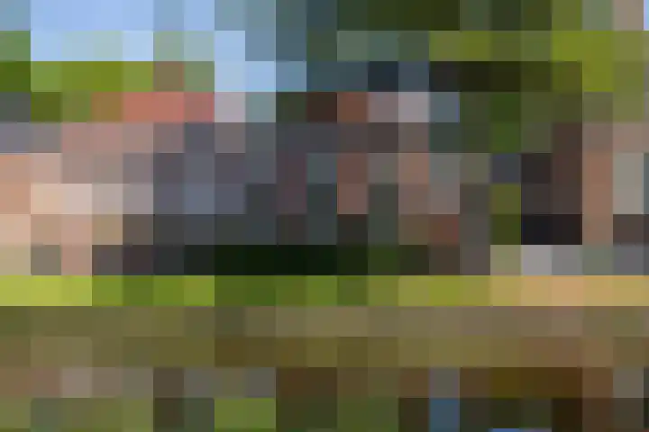 Postkade 63 Wildervank thumbnail 51