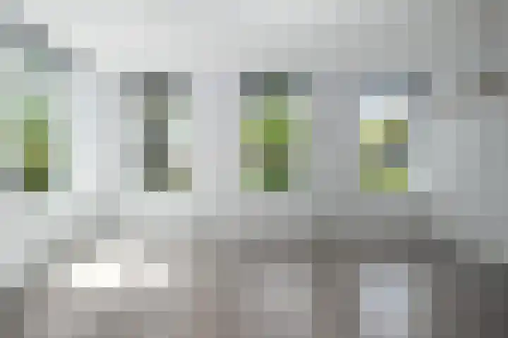 Postkade 63 Wildervank thumbnail 9