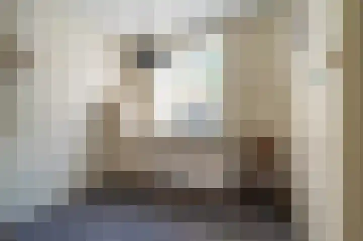Postkantoorlaan 5 Bellingwolde thumbnail 14