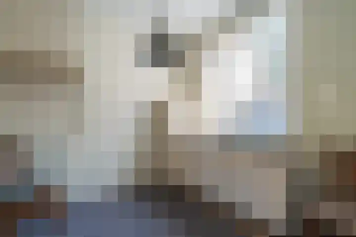 Postkantoorlaan 5 Bellingwolde thumbnail 15