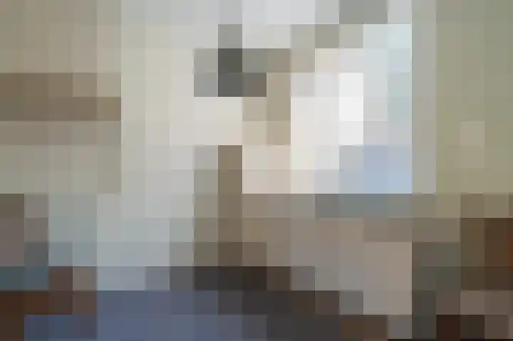 Postkantoorlaan 5 Bellingwolde foto 3