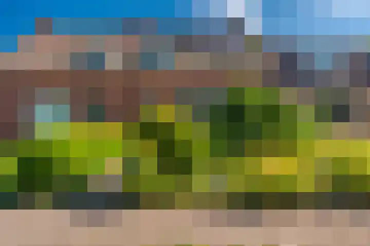 Postkantoorlaan 5 Bellingwolde thumbnail 4