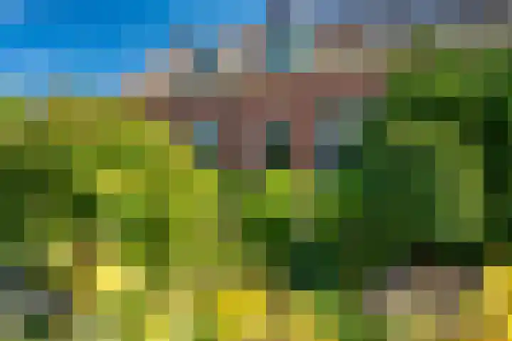 Postkantoorlaan 5 Bellingwolde thumbnail 6