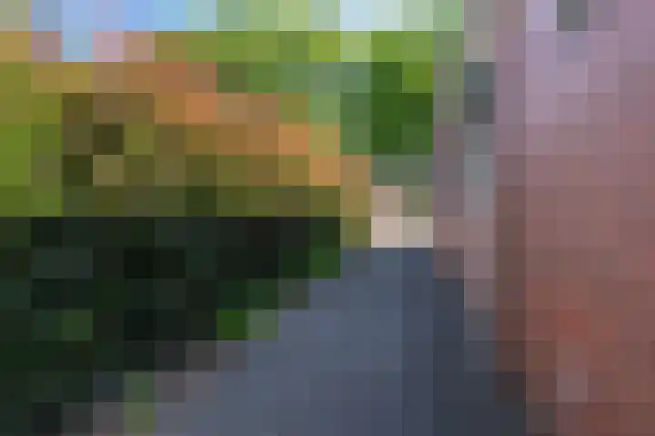 Postkantoorlaan 5 Bellingwolde thumbnail 8