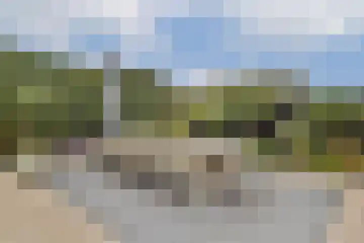 Postkoets 1 Sassenheim thumbnail 13