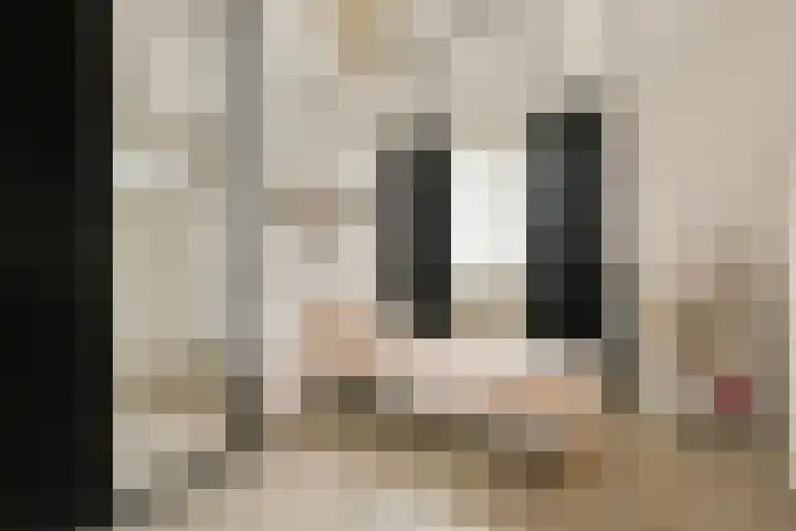 Postkoets 1 Sassenheim thumbnail 21