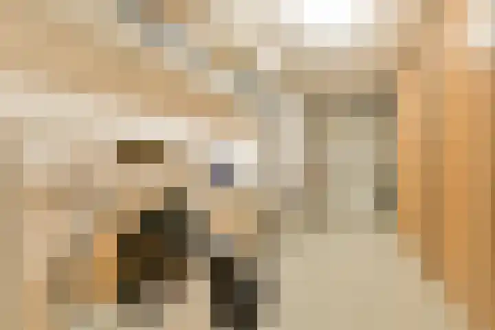 Postkoets 1 Sassenheim thumbnail 28