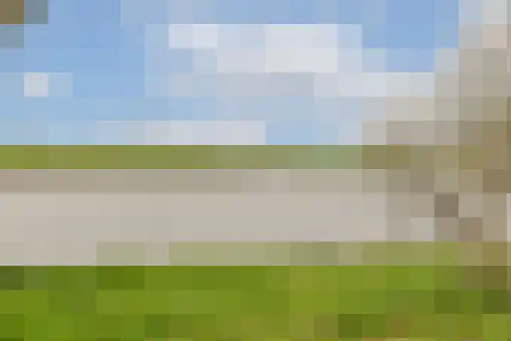 Postkoets 1 Sassenheim thumbnail 31