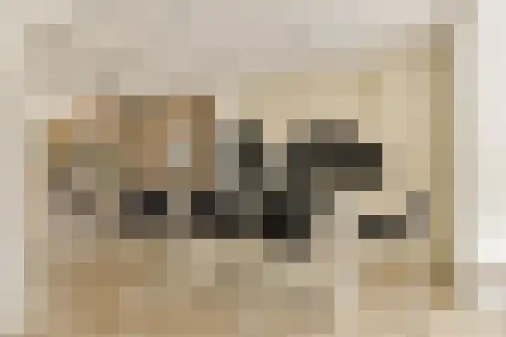 Postkoets 1 Sassenheim thumbnail 9