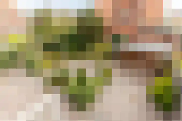 Postlaan 12 Heemstede thumbnail 18