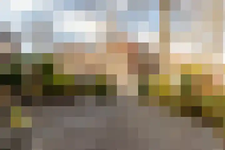 Postlaan 12 Heemstede thumbnail 22
