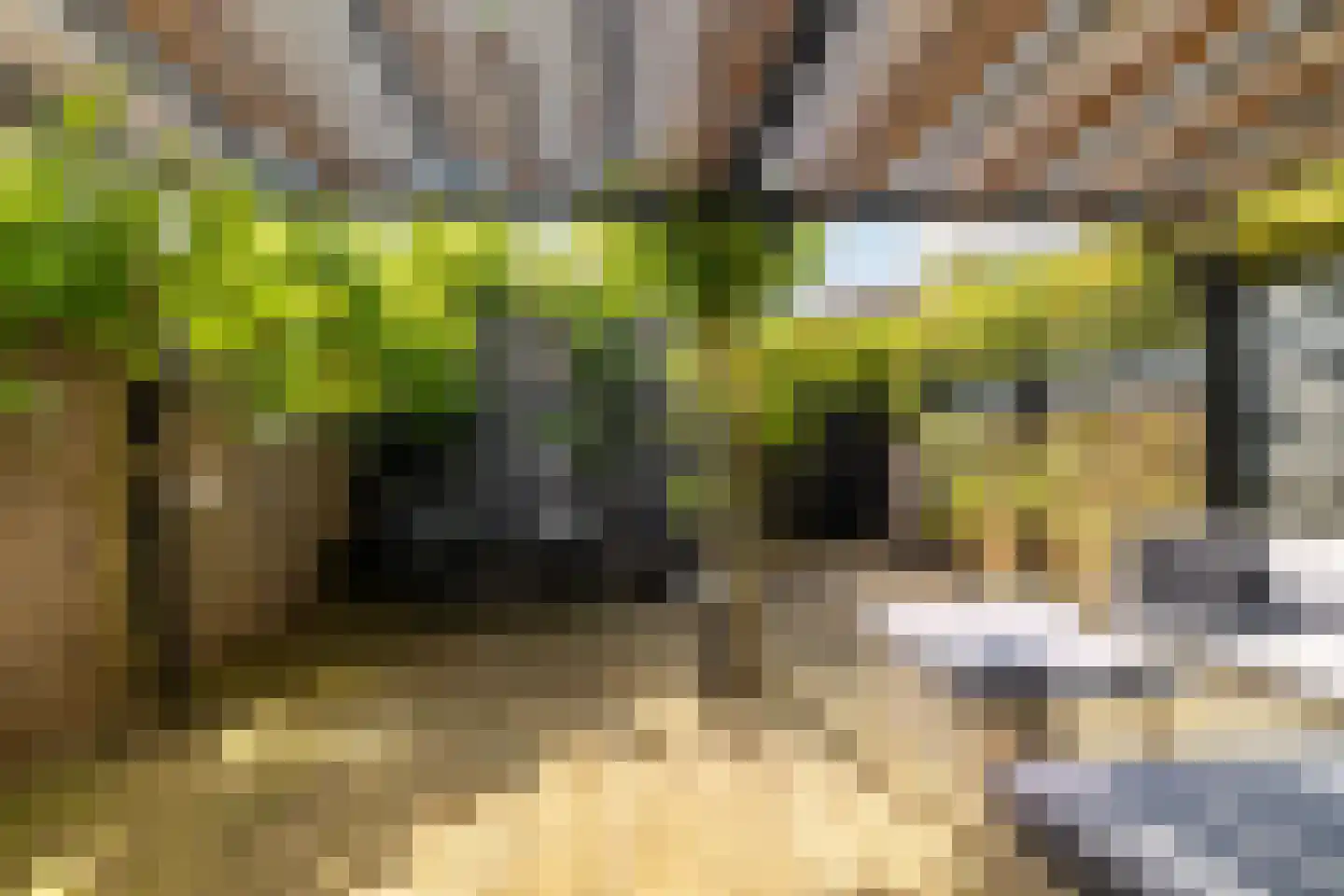 Postlaan 39 Breda thumbnail 36