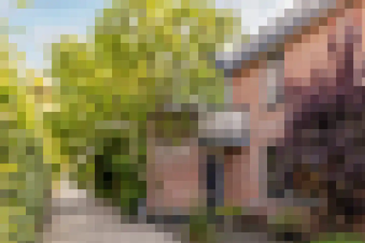 Postlaan 39 Breda thumbnail 42