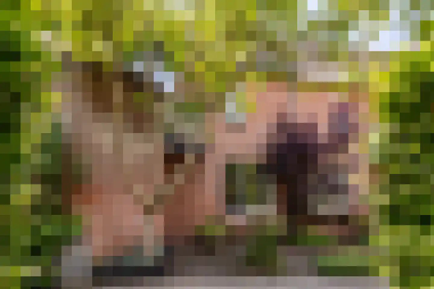 Postlaan 39 Breda thumbnail 43