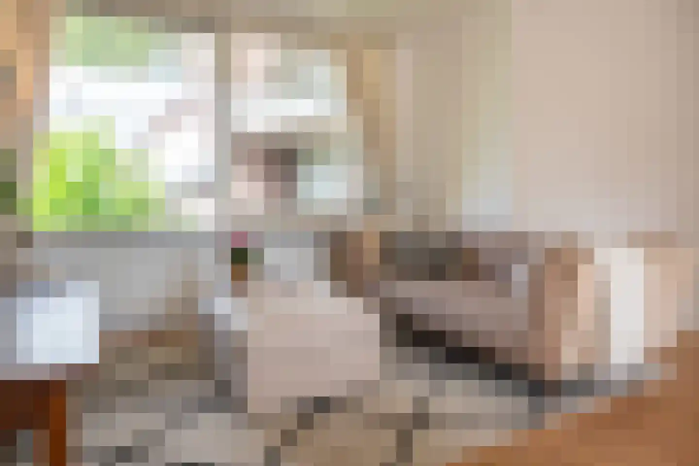 Postlaan 53 Breda thumbnail 11