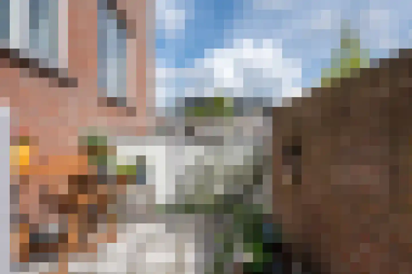 Postlaan 53 Breda thumbnail 20