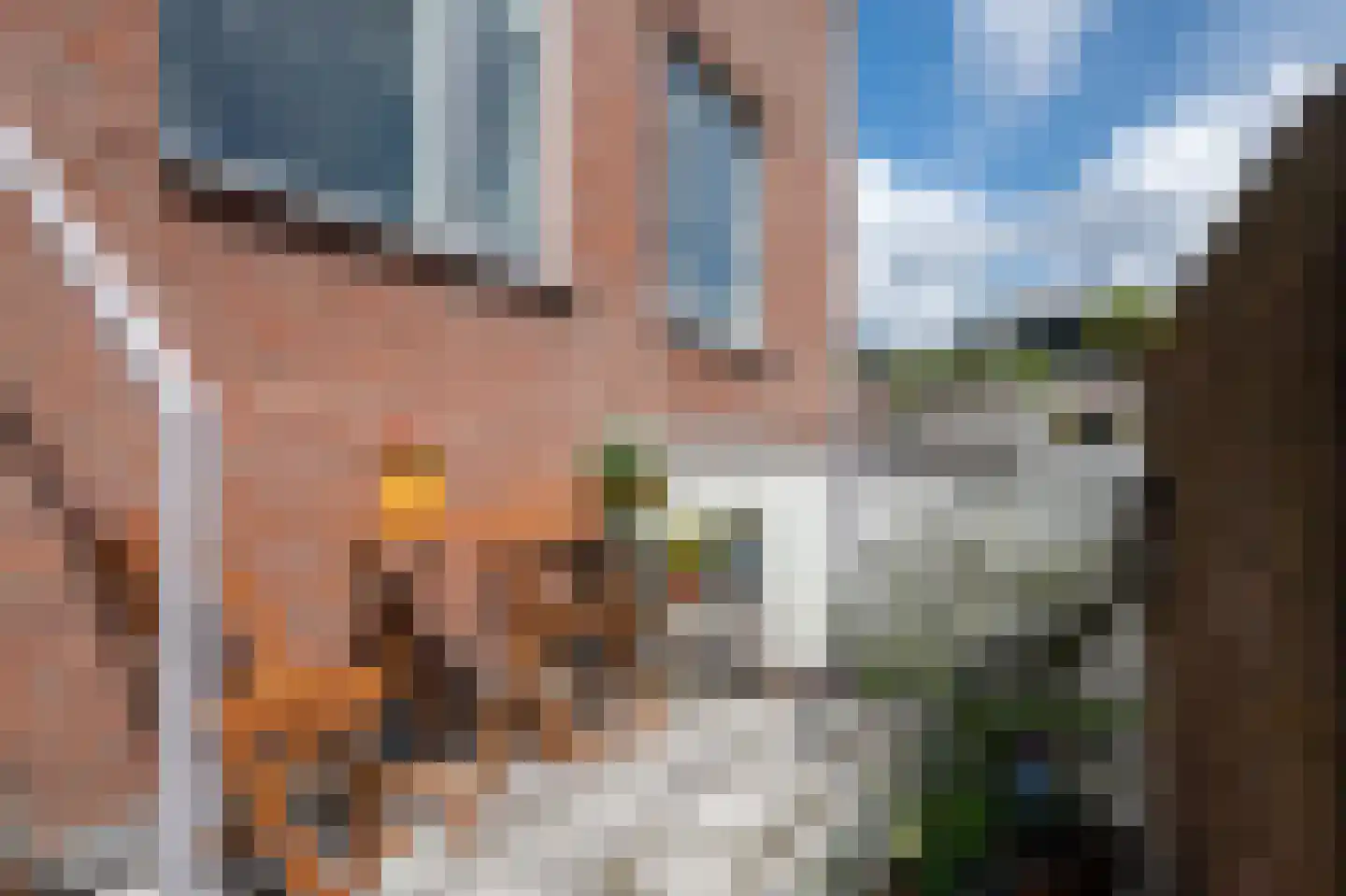 Postlaan 53 Breda thumbnail 22