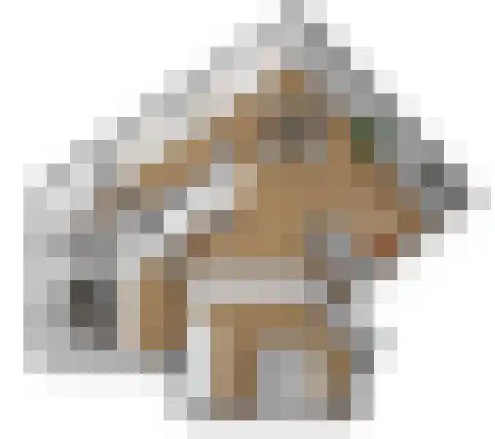 Postlaan 53 Breda thumbnail 30
