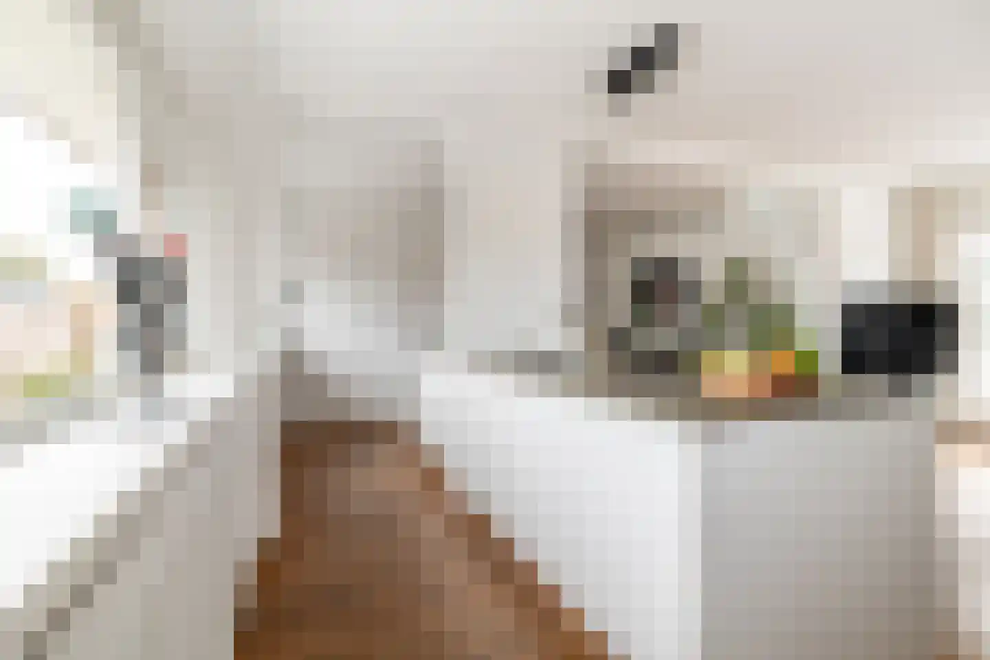 Postlaan 59 Breda thumbnail 10