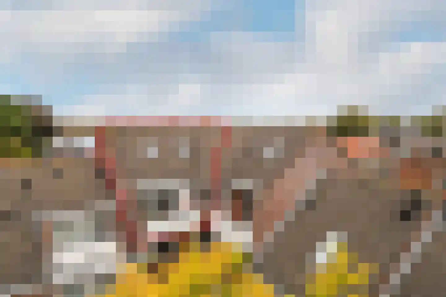 Postlaan 59 Breda thumbnail 22