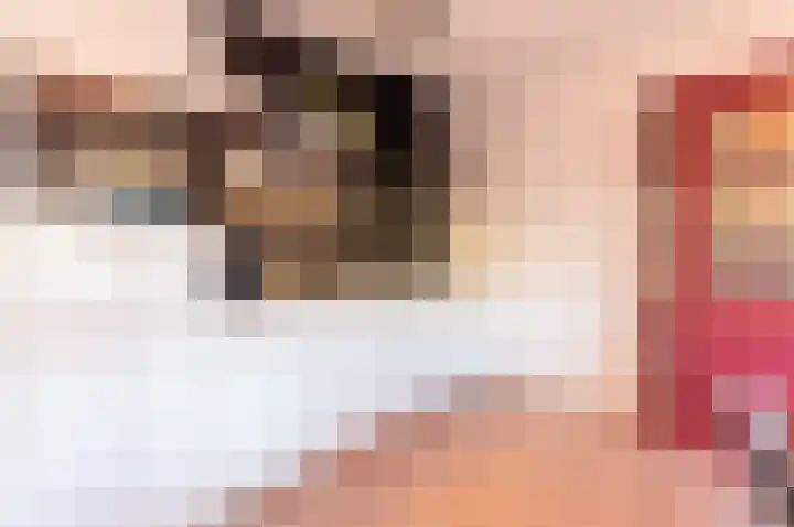 Postlaantje 1 A Ermelo thumbnail 13