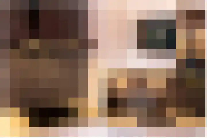 Postlaantje 1 A Ermelo thumbnail 14