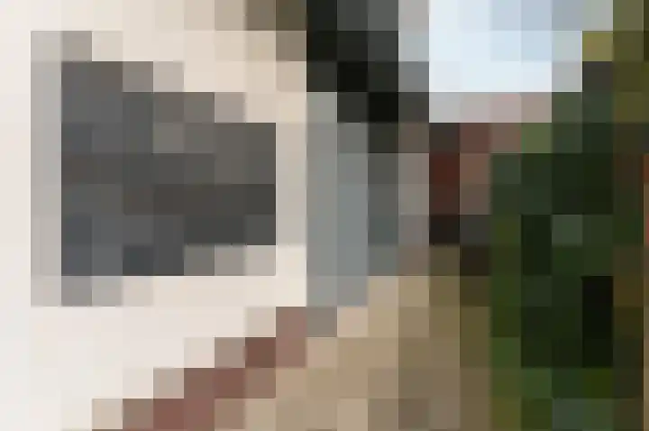 Postlaantje 1 A Ermelo thumbnail 28