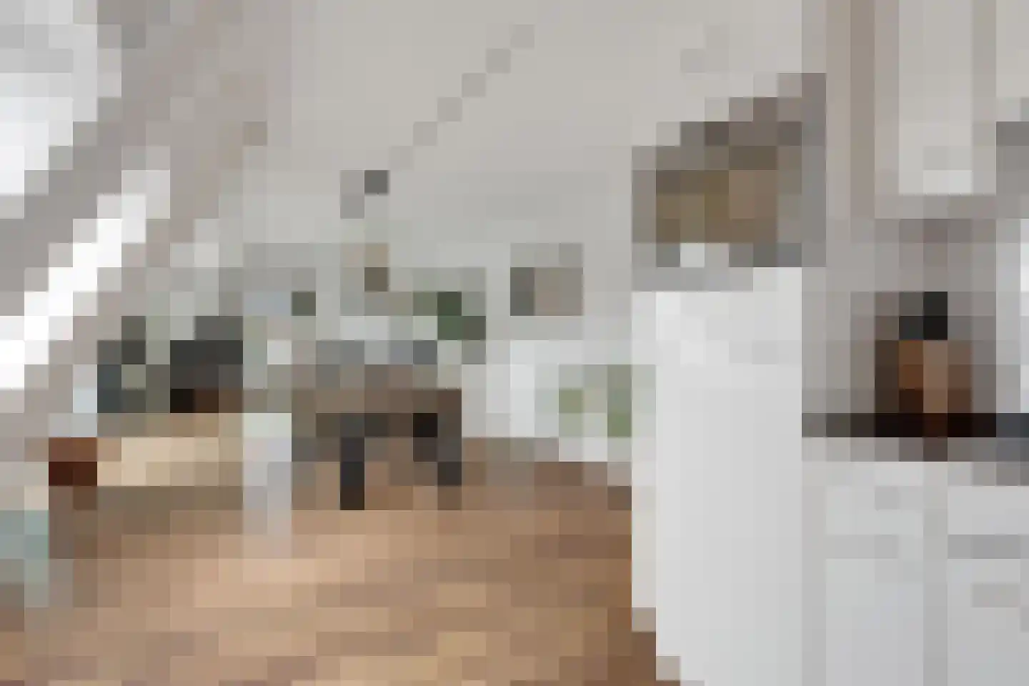 Postlaantje 1 D Ermelo thumbnail 18
