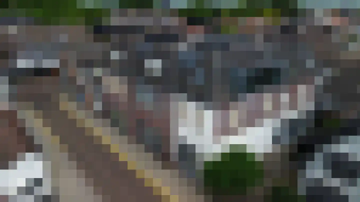 Postlaantje 1 D Ermelo thumbnail 29