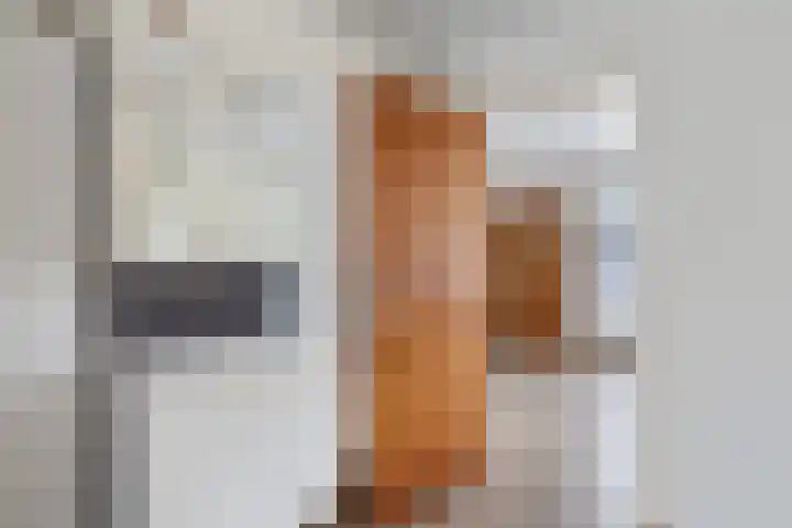 Postleane 1 Ureterp thumbnail 14