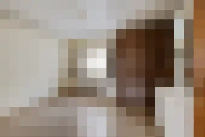 Postleane 1 Ureterp thumbnail 16