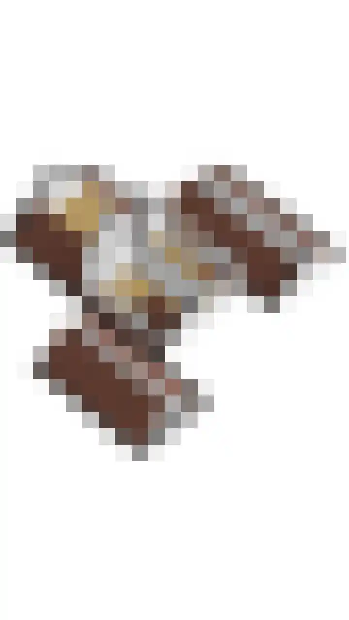 Postleane 1 Ureterp thumbnail 19