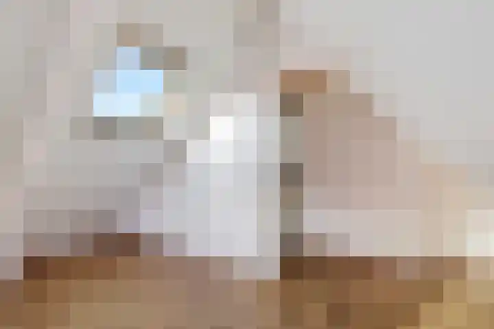 Postleane 1 Ureterp thumbnail 20