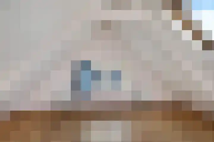 Postleane 1 Ureterp thumbnail 21
