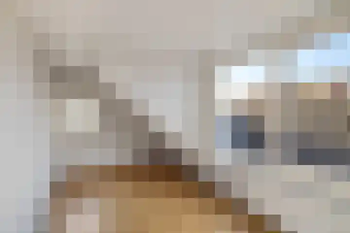 Postleane 1 Ureterp thumbnail 25